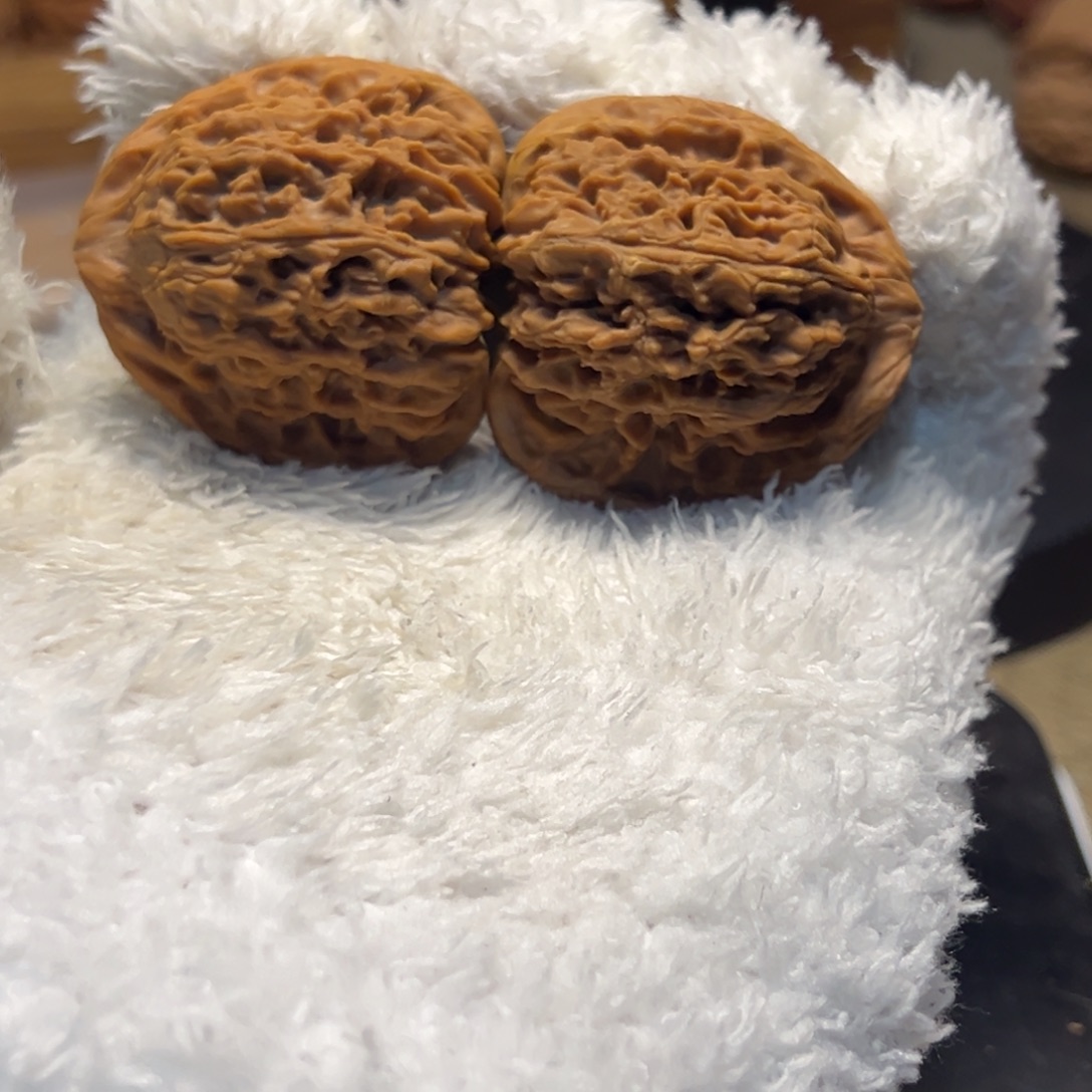 吊坠文玩核桃40红三角 有黄 104号