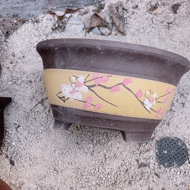 紫砂花哦花倨傲会议室a2