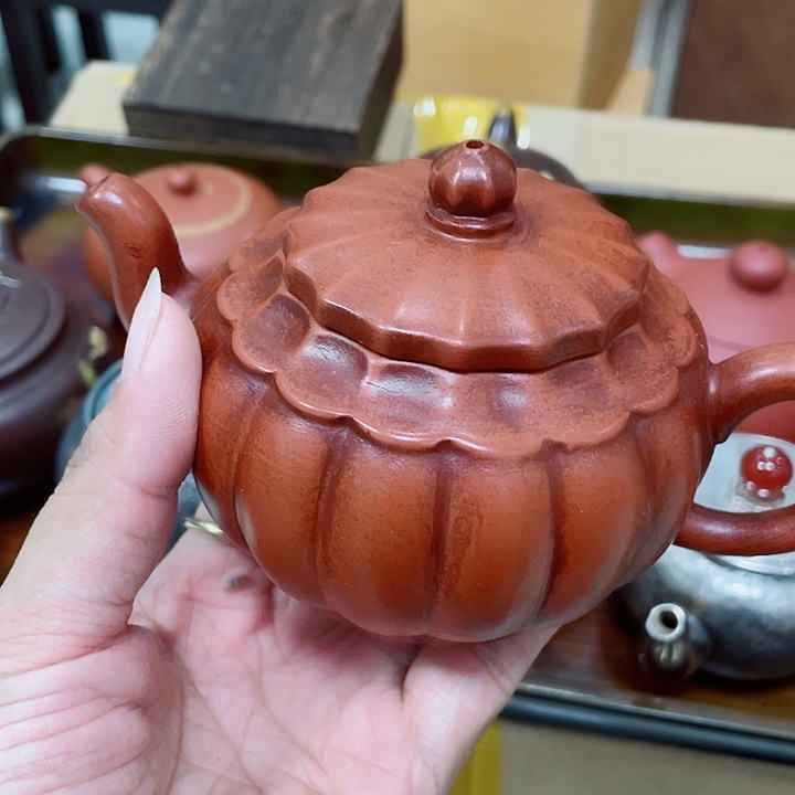 小****伽罗咯咯呃呃呃呃呃呃呃呃呃呃