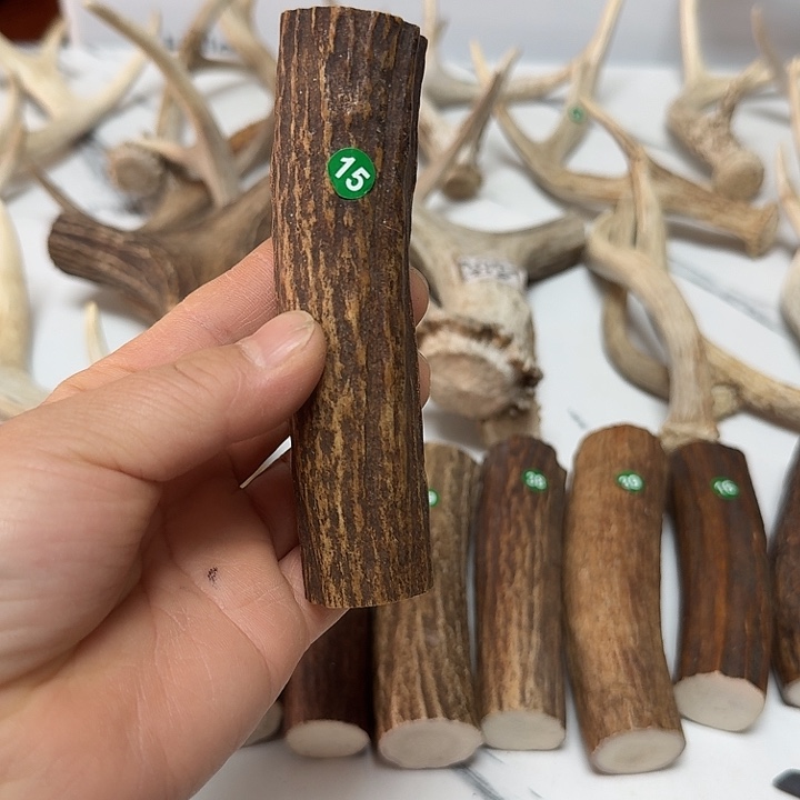 香榧木鹿角工艺品原料