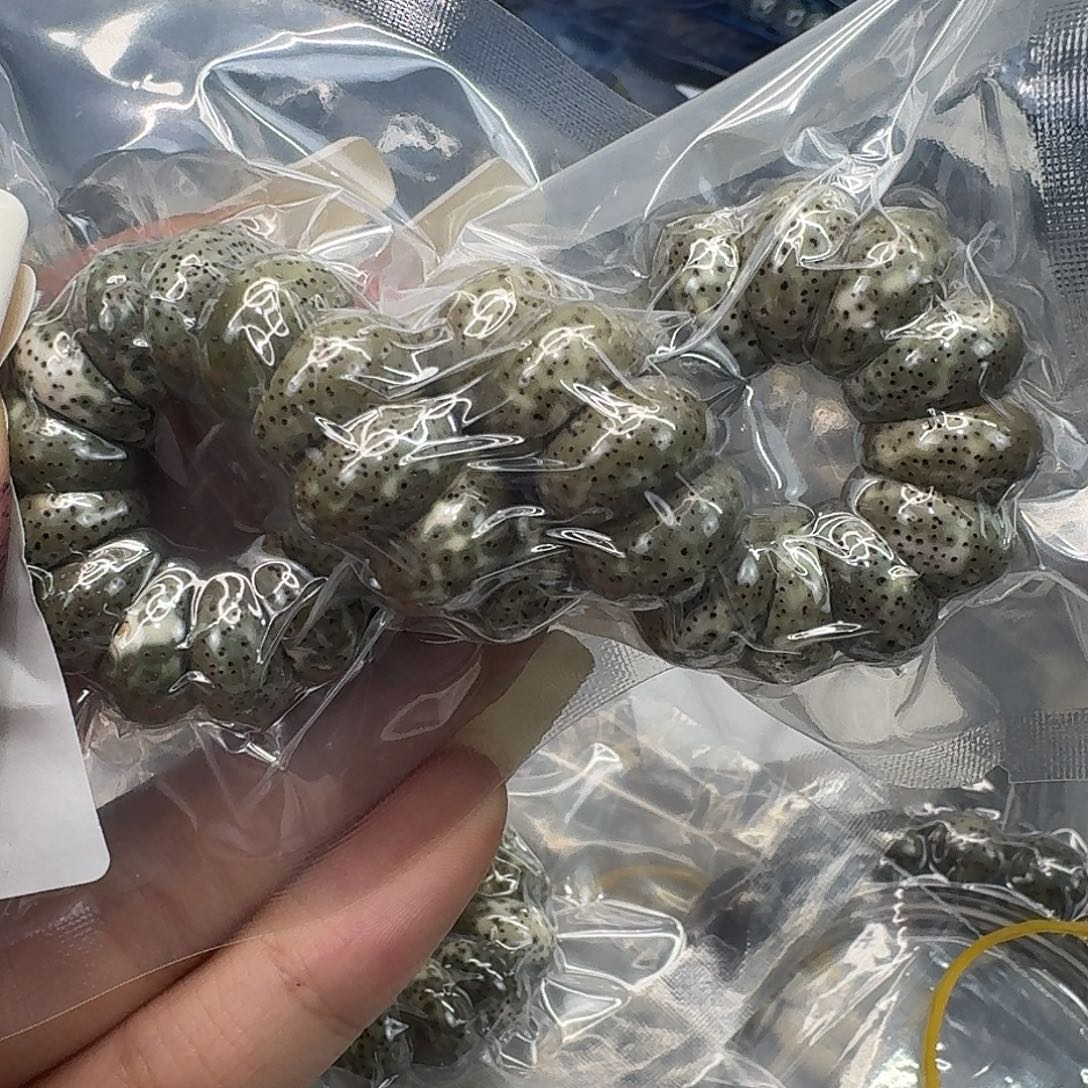 星月菩提手串146快乐星月菩提13