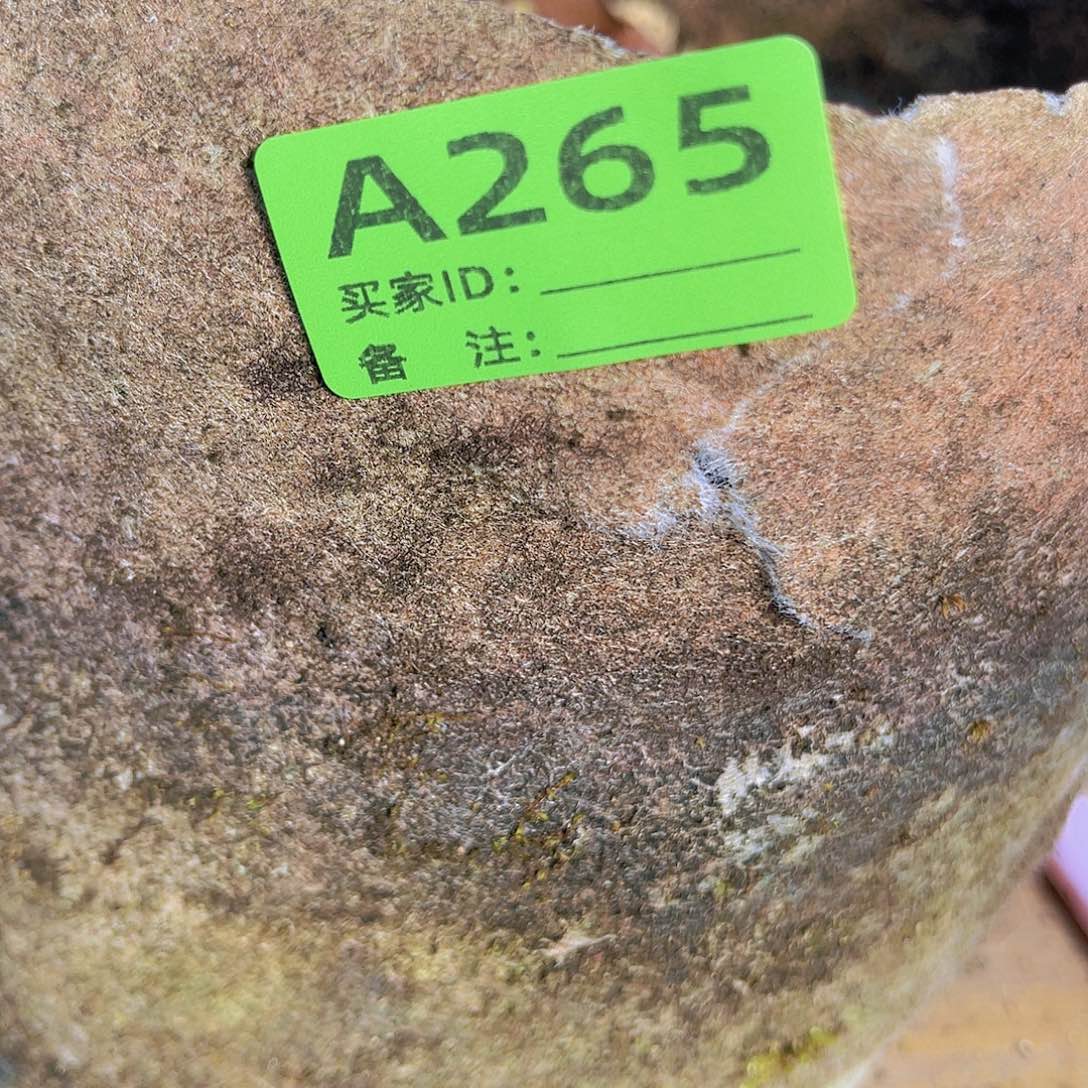 红陶直播时间一定一起