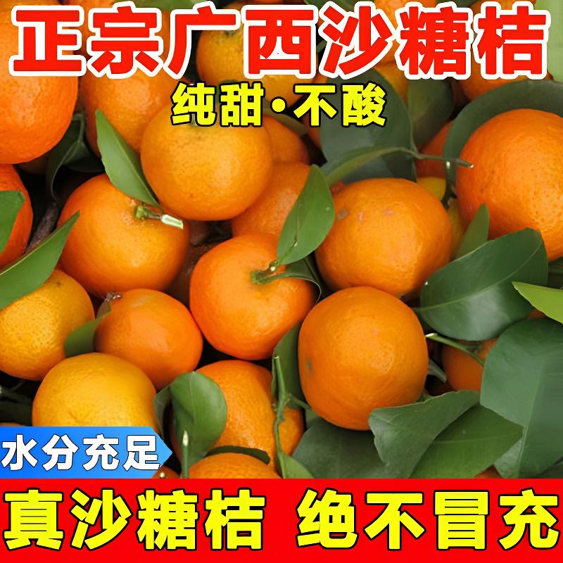 【正宗广西沙糖桔】新鲜沙糖桔橘子优质精选沙糖桔皮薄多汁现摘现发
