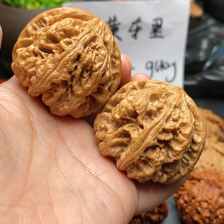 文玩核桃吊坠毕业大粗筋47尺