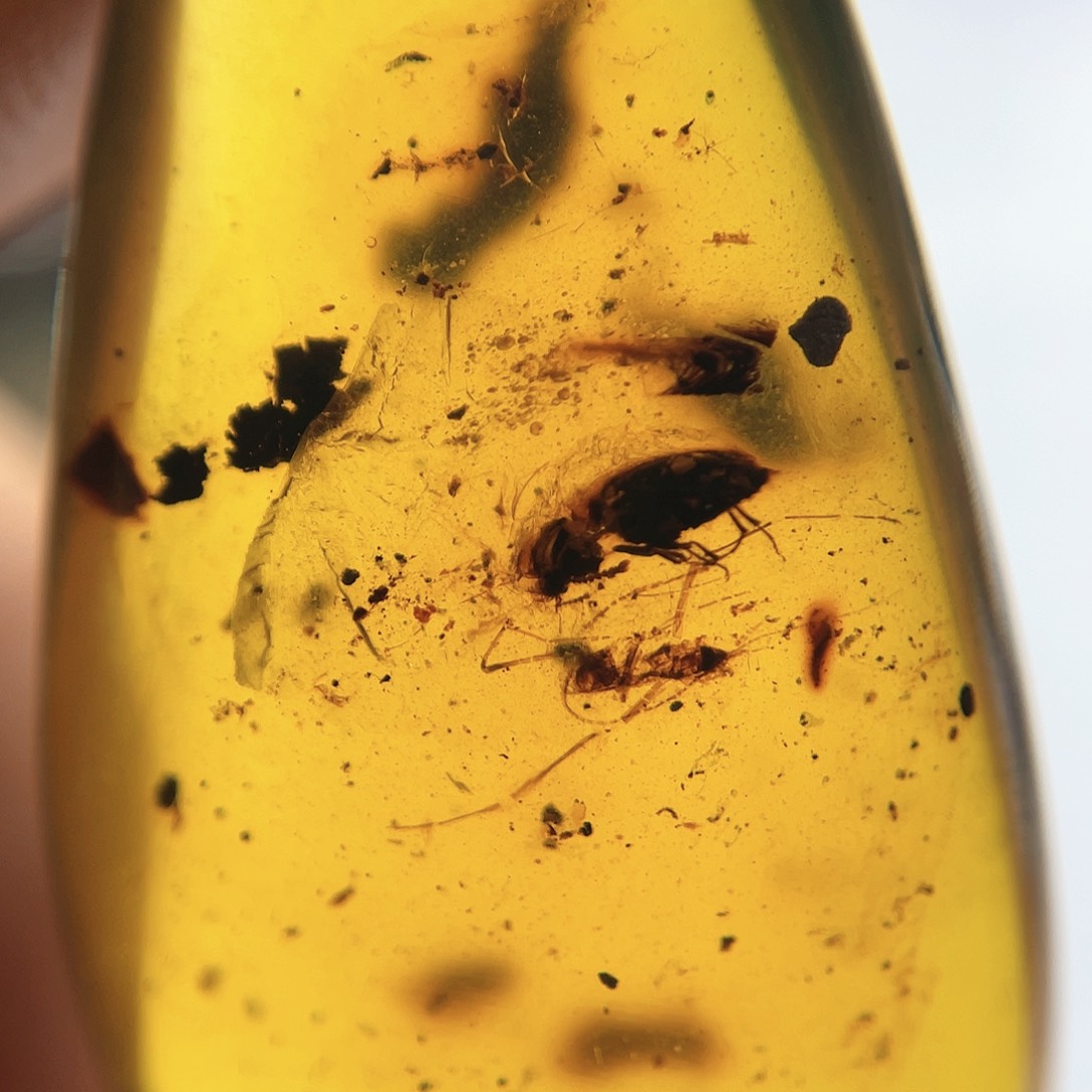 琥珀裸石未镶嵌。