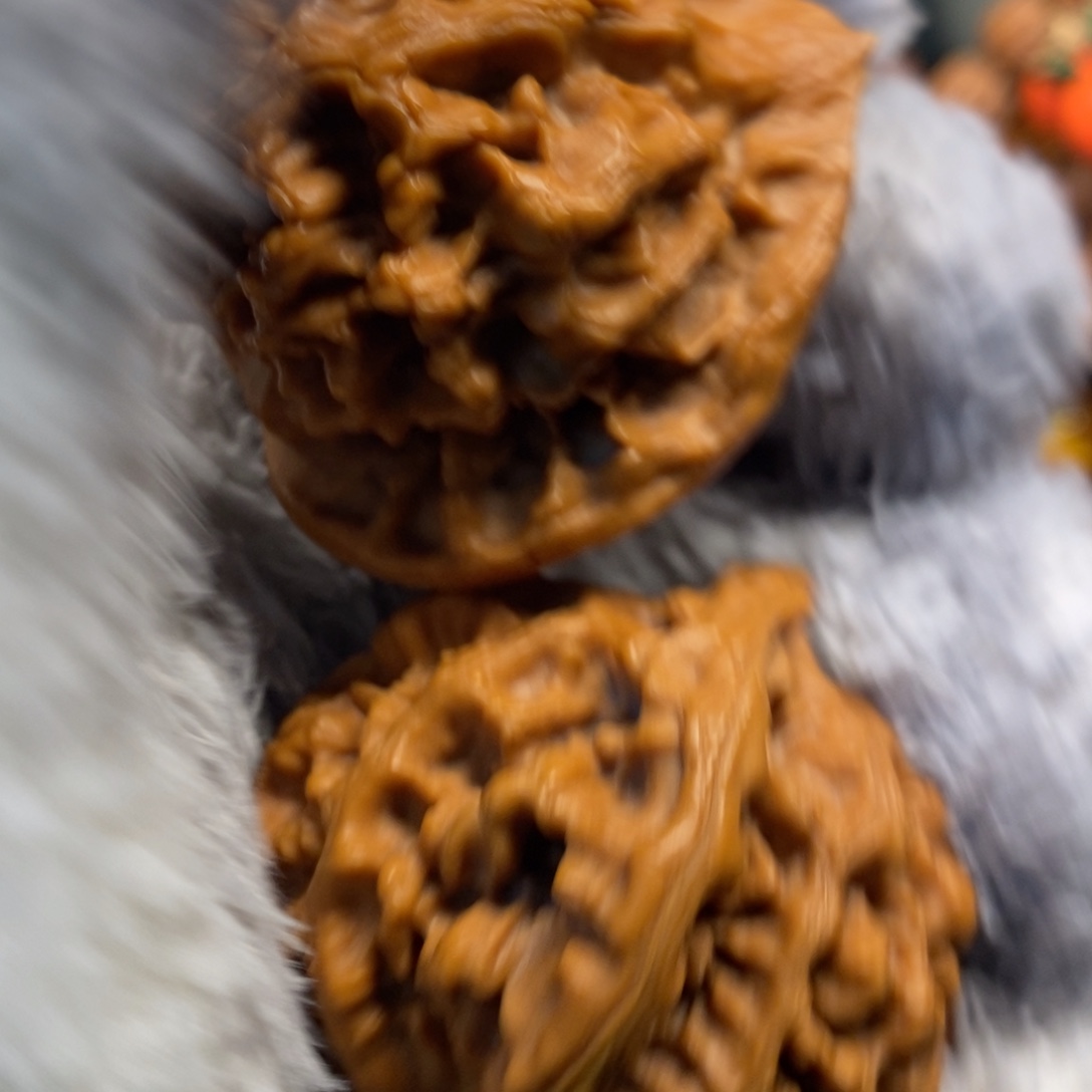 D***S秦岭森林茂密和植被覆盖