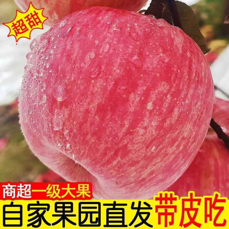 【产地直发】灵宝苹果高山红富士苹果新鲜采摘脆甜多汁水果应季新鲜