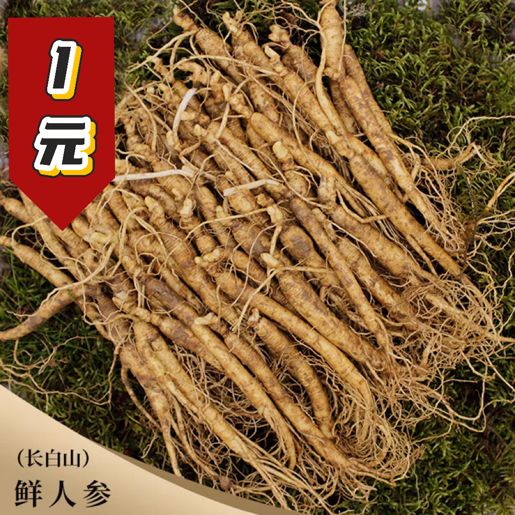 1元长白山鲜人参5-8g/支*30支 参味浓郁 现挖现发 H