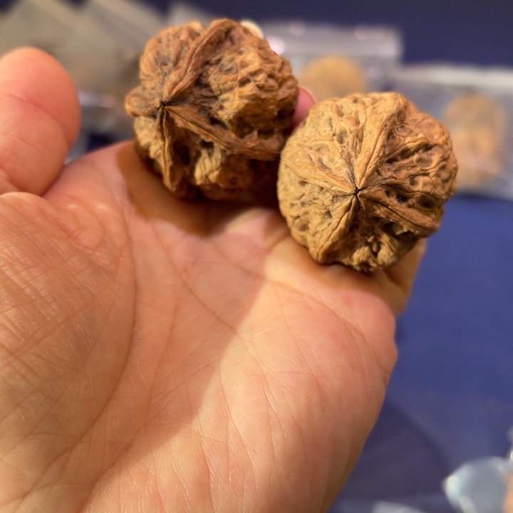 吊坠文玩核桃飘雪四棱
