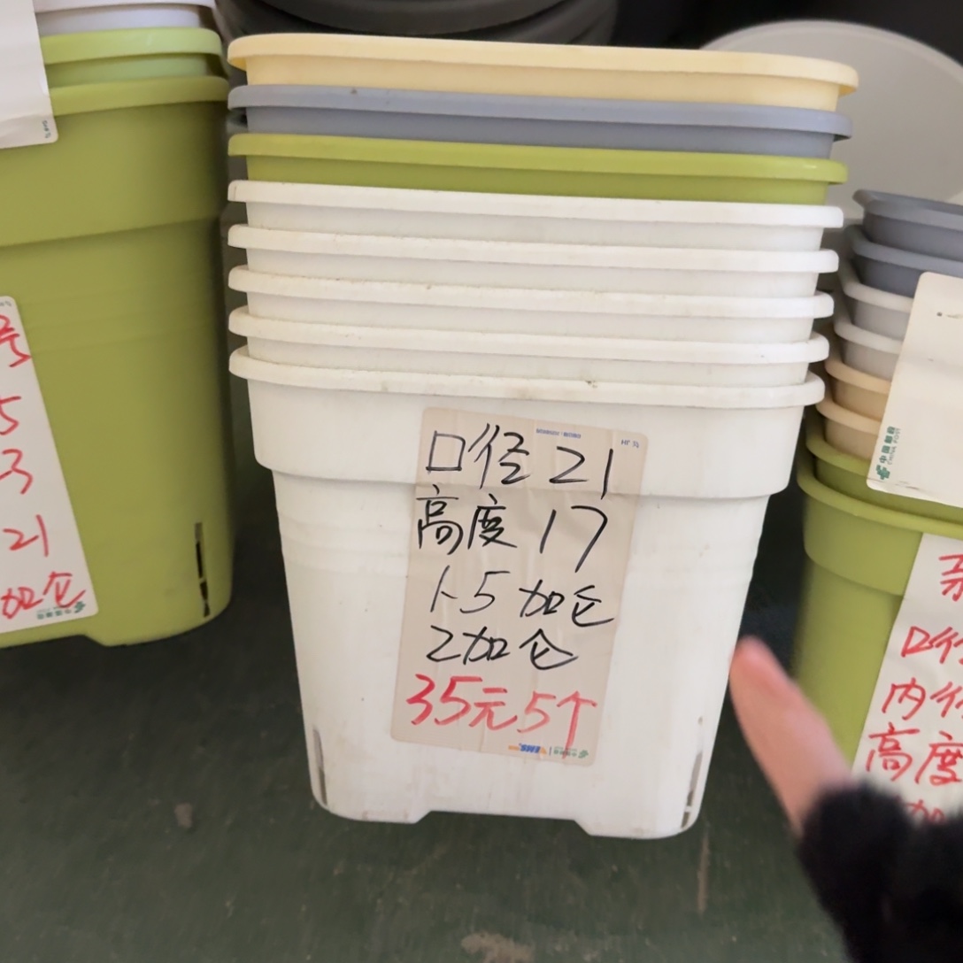 新款方盆看见21无拖果绿10个