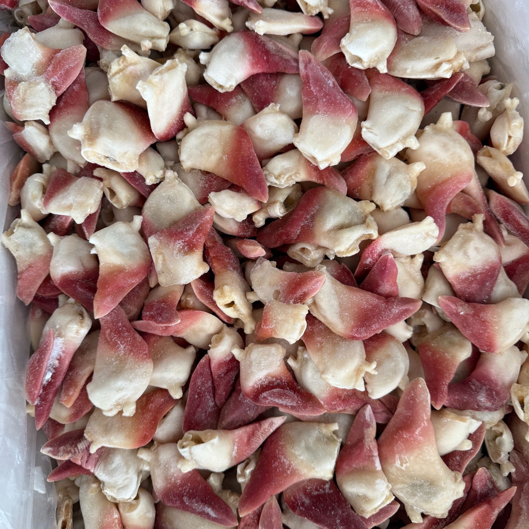 北极贝   顺丰发货