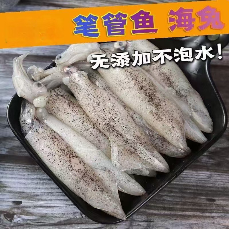 2新鲜速冻海捕笔管鱼海兔子营养美味顺丰包邮