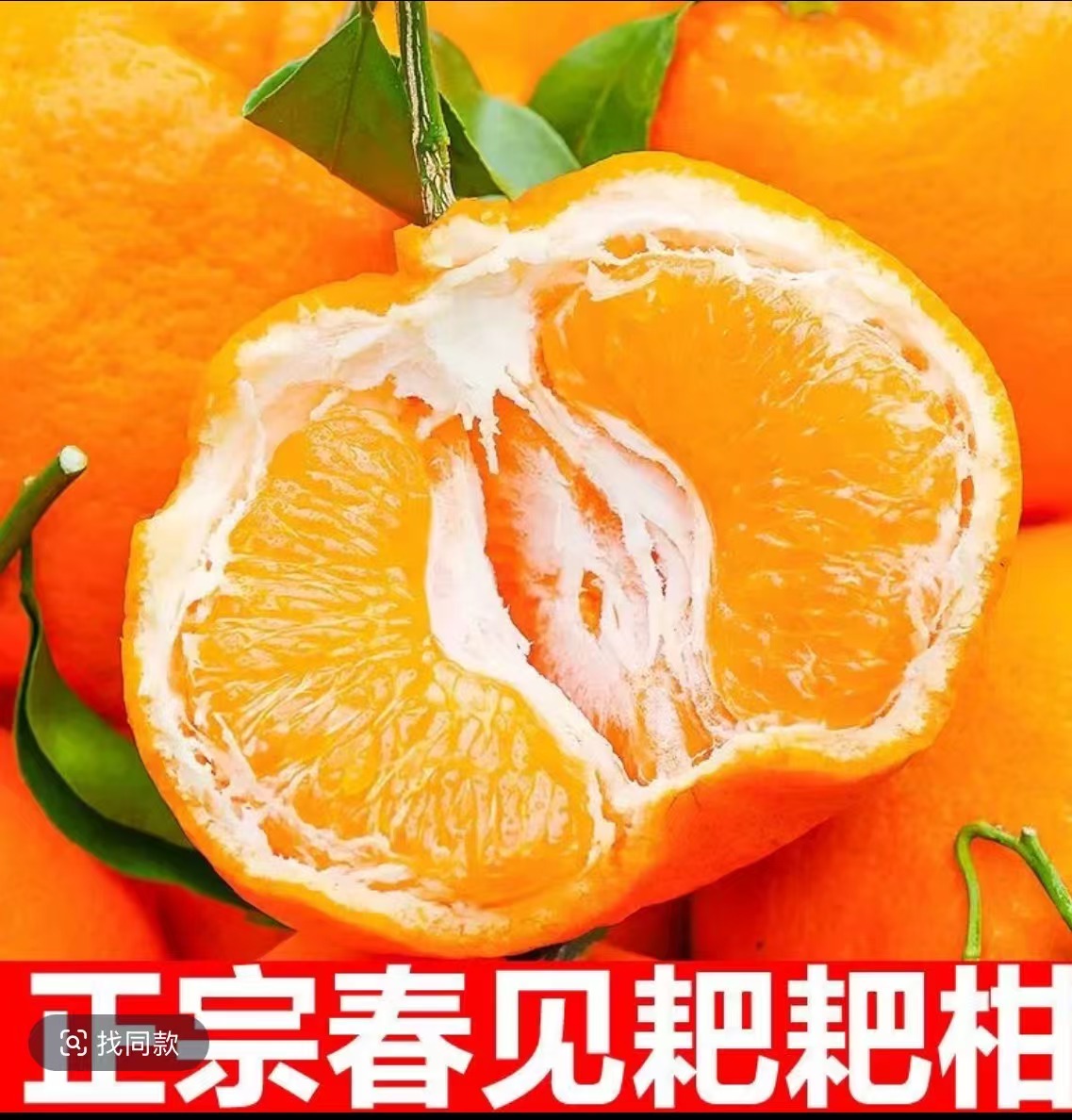 正宗四川春见耙耙柑产地直发多汁香甜皮薄细嫩甜蜜