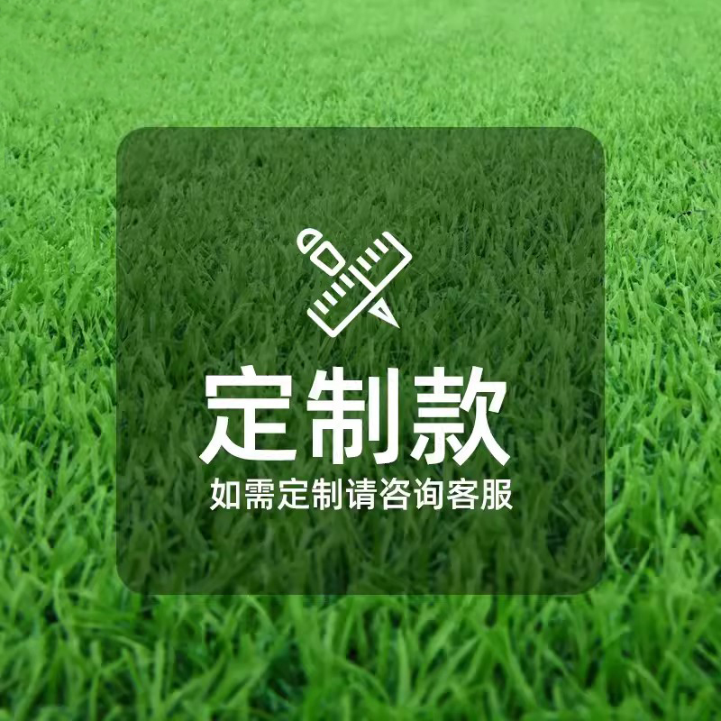 【客服专属链接】清雅仿真草坪地垫假草坪仿真草 定制尺寸