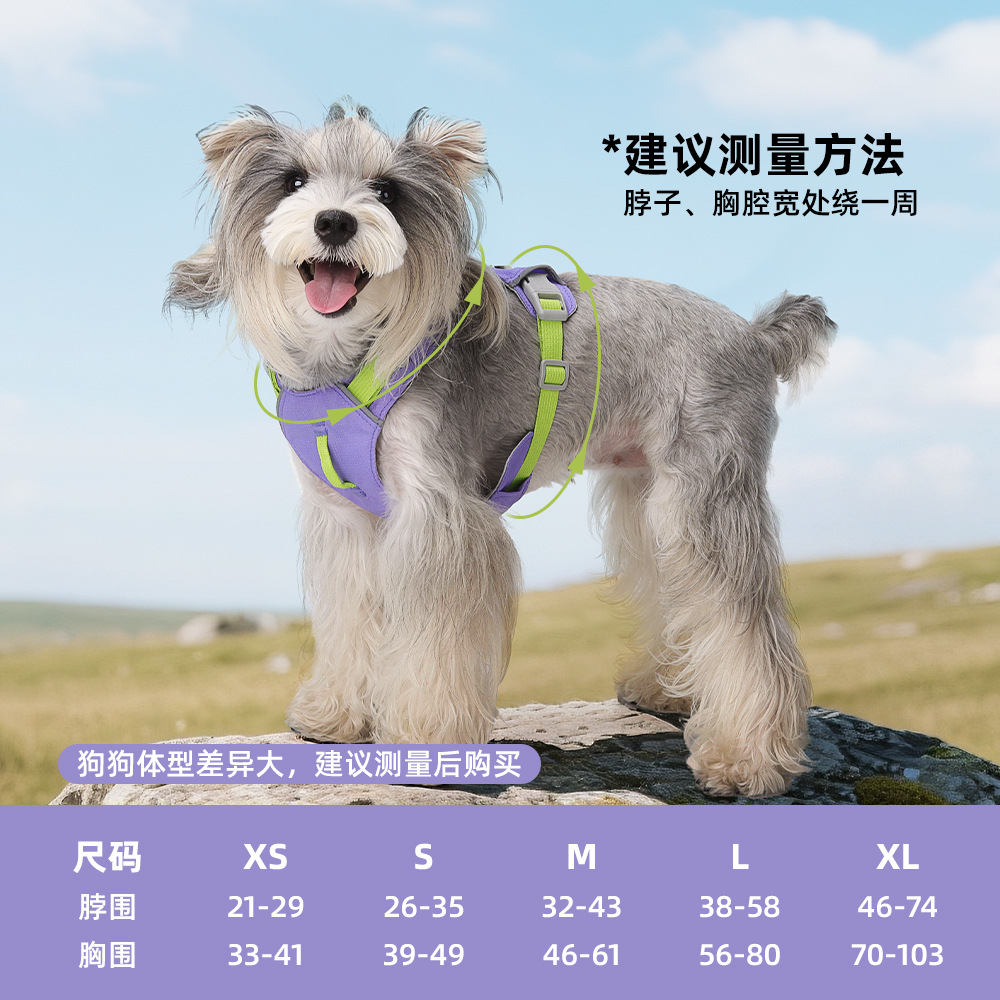 轻量狗狗胸背大牌平替户外小狗胸背带撞色织带宠物牵引速干防挣脱