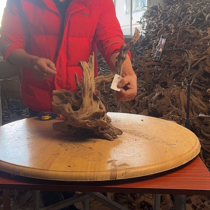 没***玩木鱼缸造景根雕摆件193