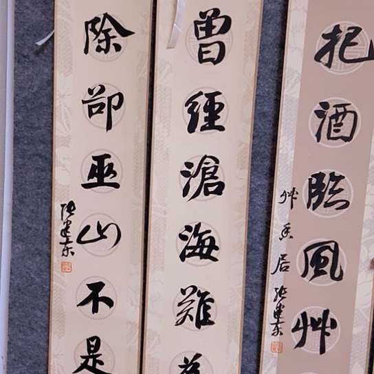 书法张建东老师书法作品