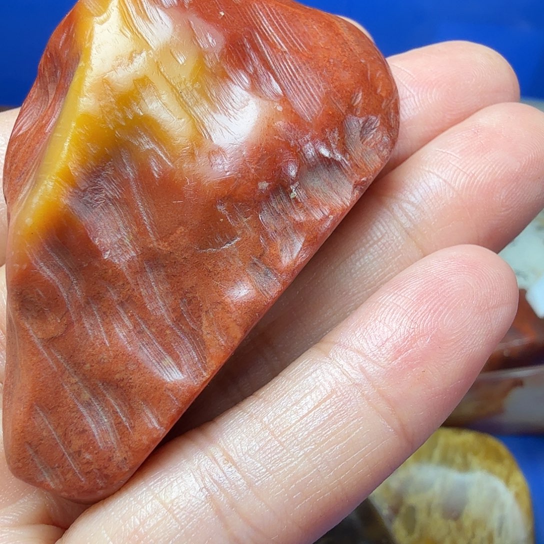 李***伟寿山石寿山芙蓉石