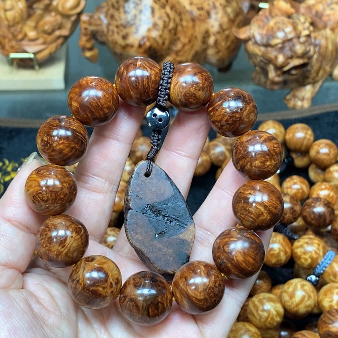 柏木（崖柏）苗*香太行崖柏陈化1.8