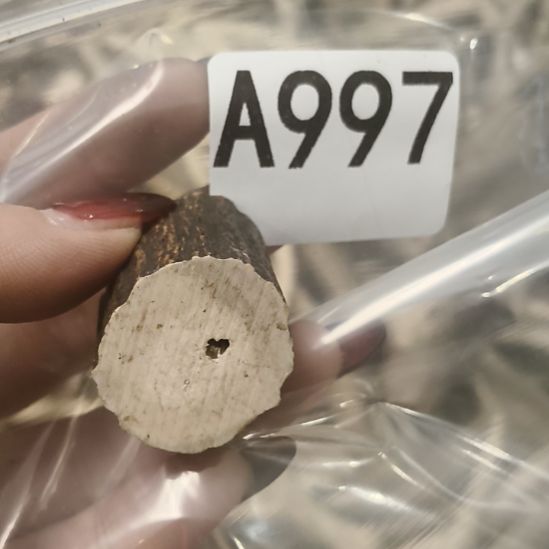 义***鹿角鹿角鹿角鹿角鹿角