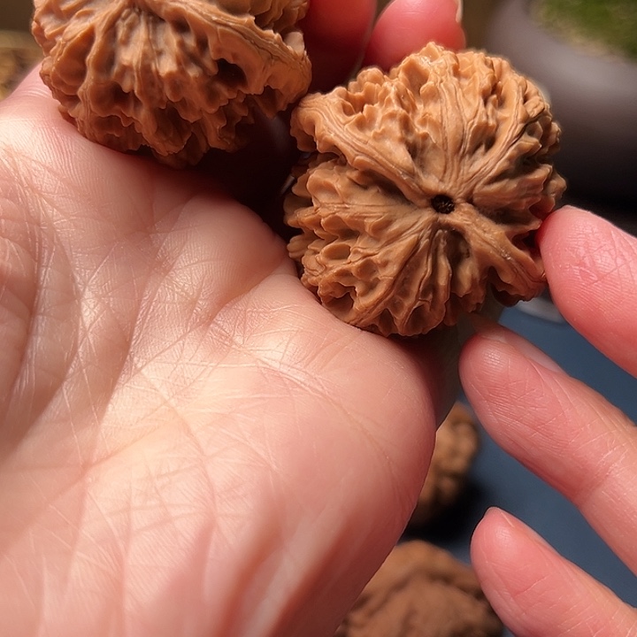 z***哥木桃和大红灯笼也有