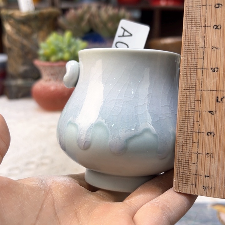 景德镇陶瓷研究所