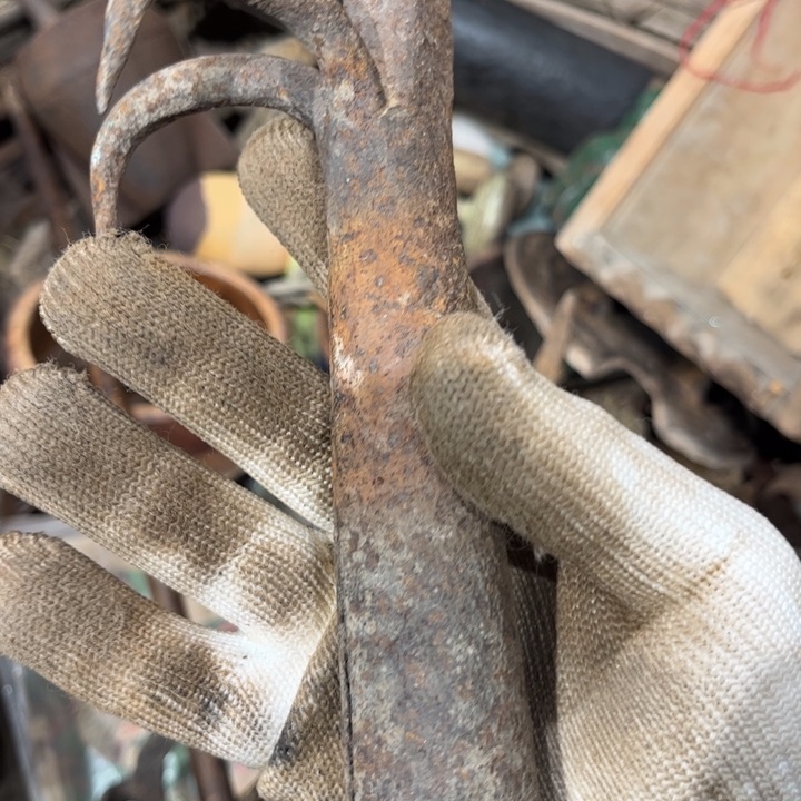 月*鱼物一图的小杂项