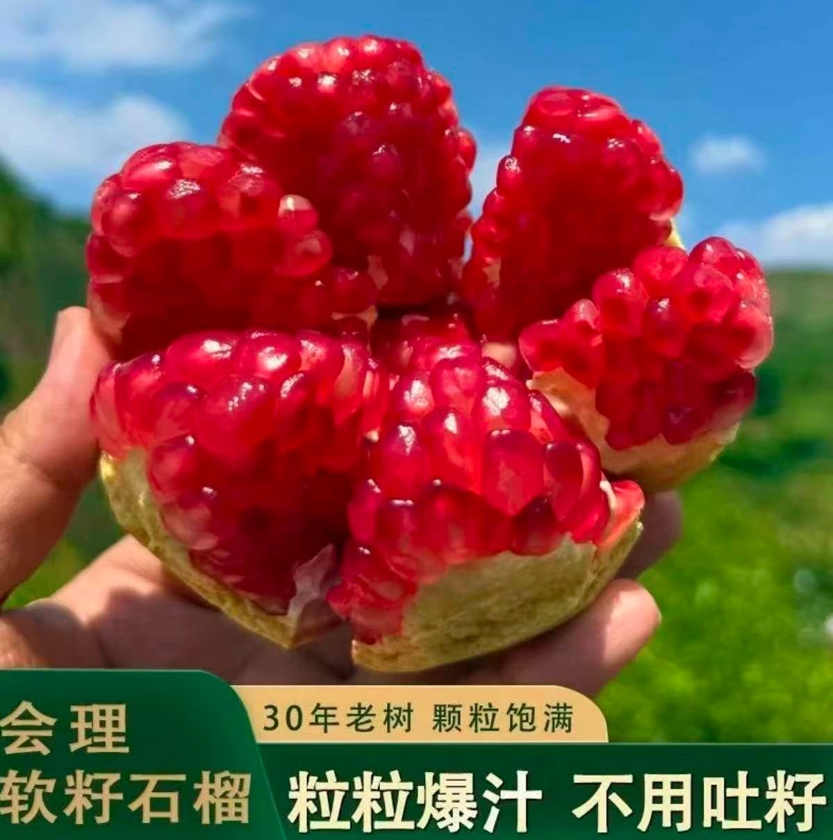 （果园直发）云南宾川突尼斯软籽石榴新鲜无籽四川软籽石榴突尼斯