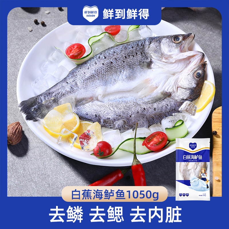【鲜到鲜得】白蕉海鲈鱼1050g*2到手6条 