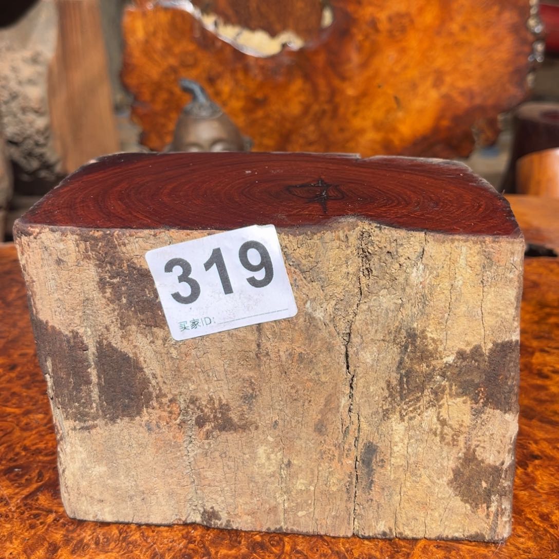 大果紫檀（缅甸花梨）