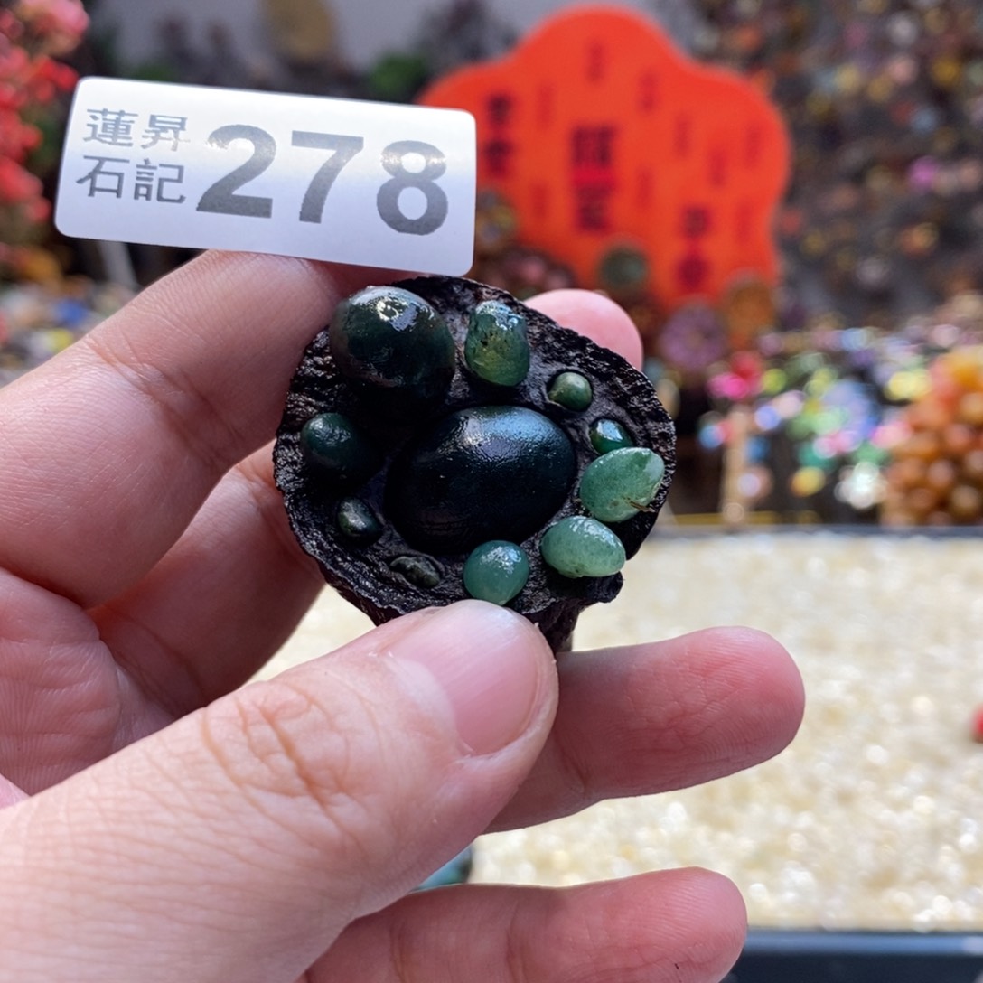 核桃木/黑胡桃（胡桃木）278小龟