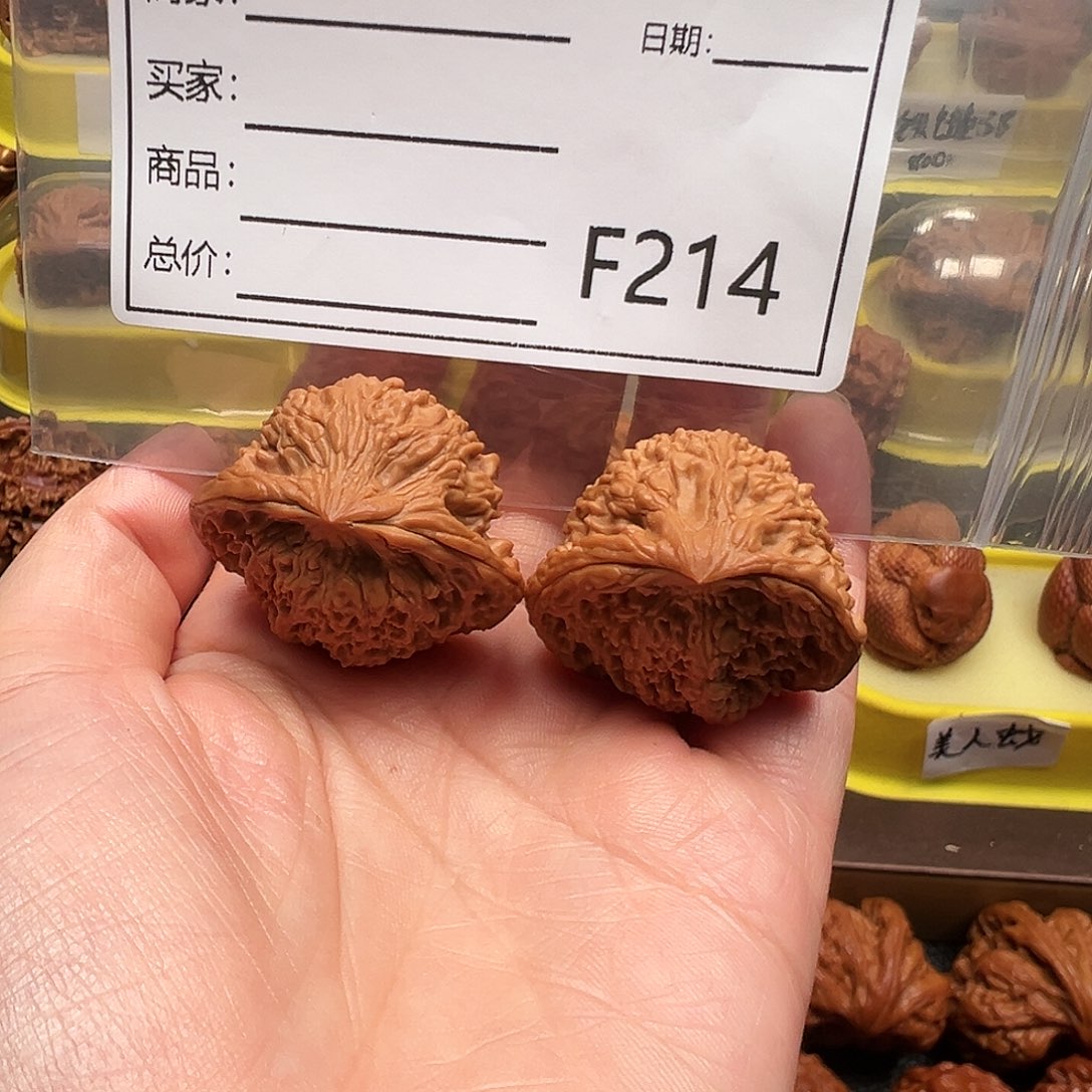 满天星蛇头36尺码蛇