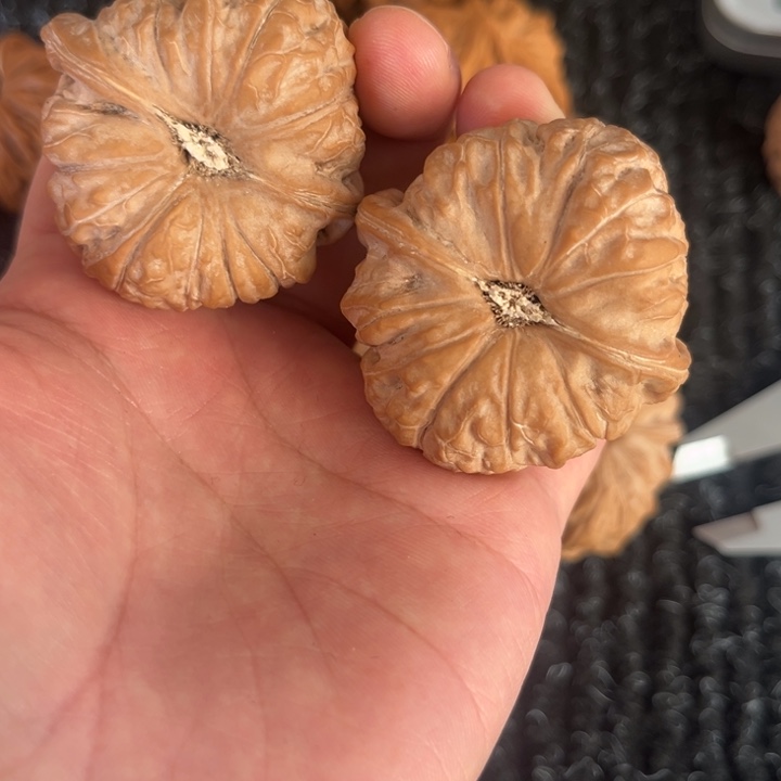 小***）大叶紫檀（黑酸枝木类）南瓜。      