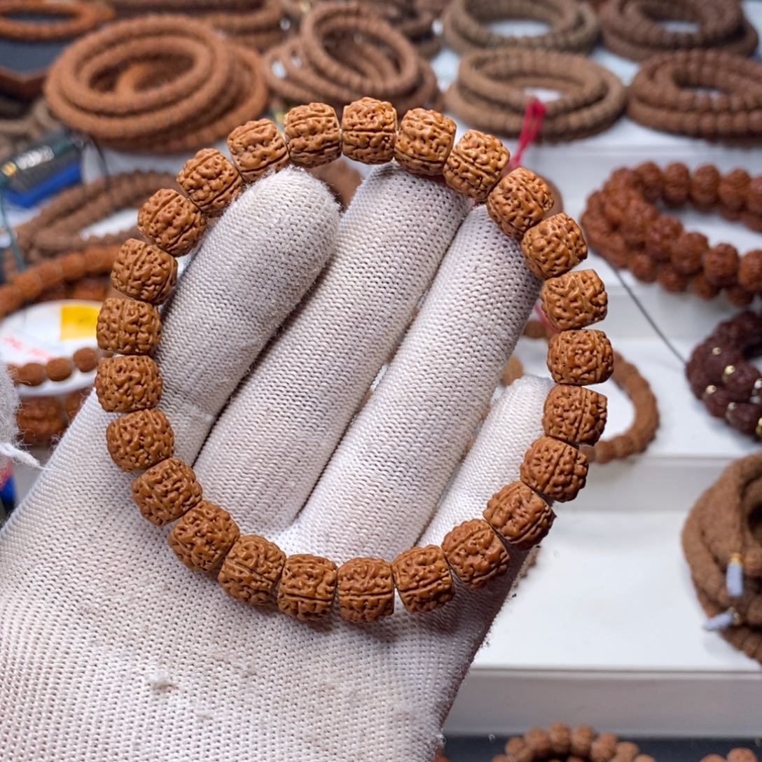 毛***的金刚菩提手串五瓣高桩龙切盘龙，尺寸11