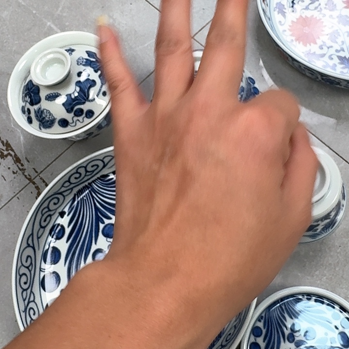 瓷片青花鱼藻5件套景德镇