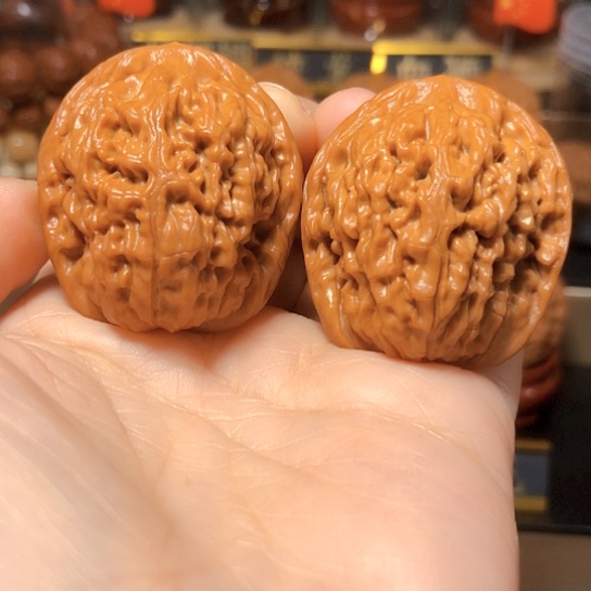 博**暖治愈系：原桩莲花37尺