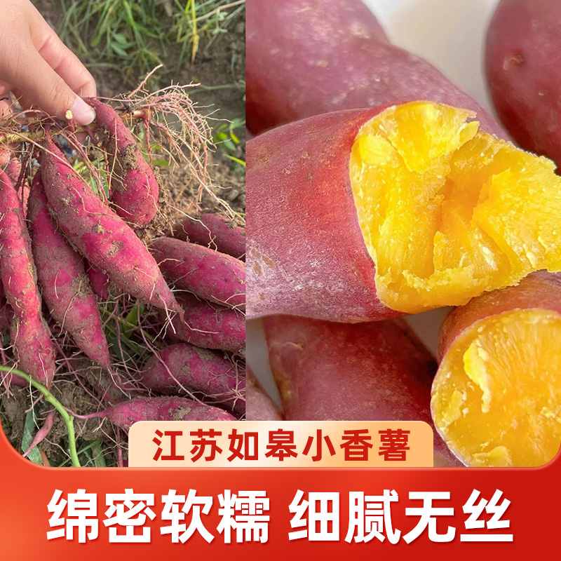 【善食源】 如皋小香薯3斤手指薯（约25-40个）/4.5斤中薯（约20-45个）