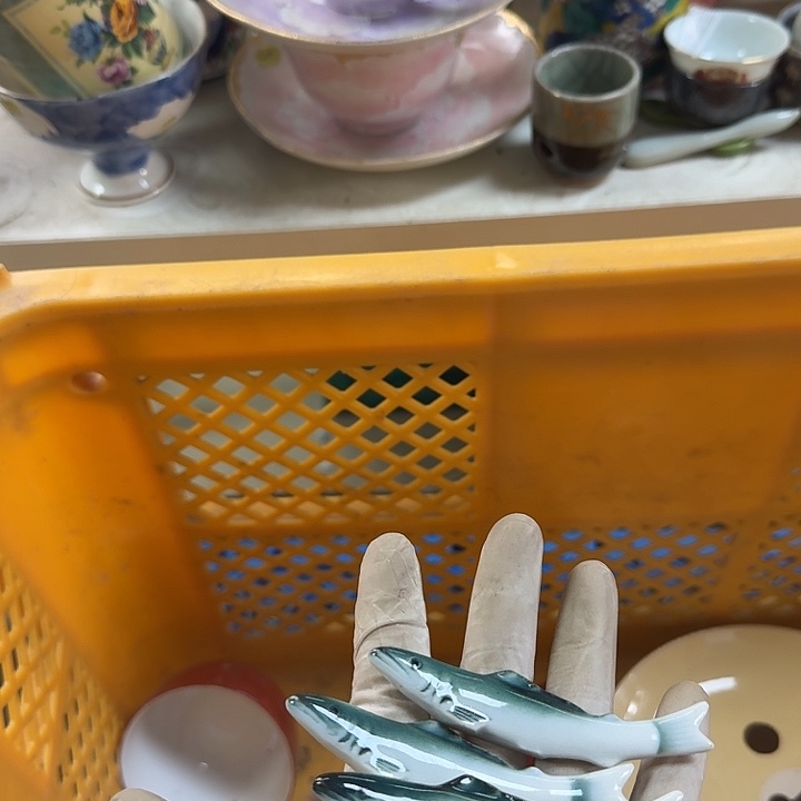 碟开播啦….开播啦