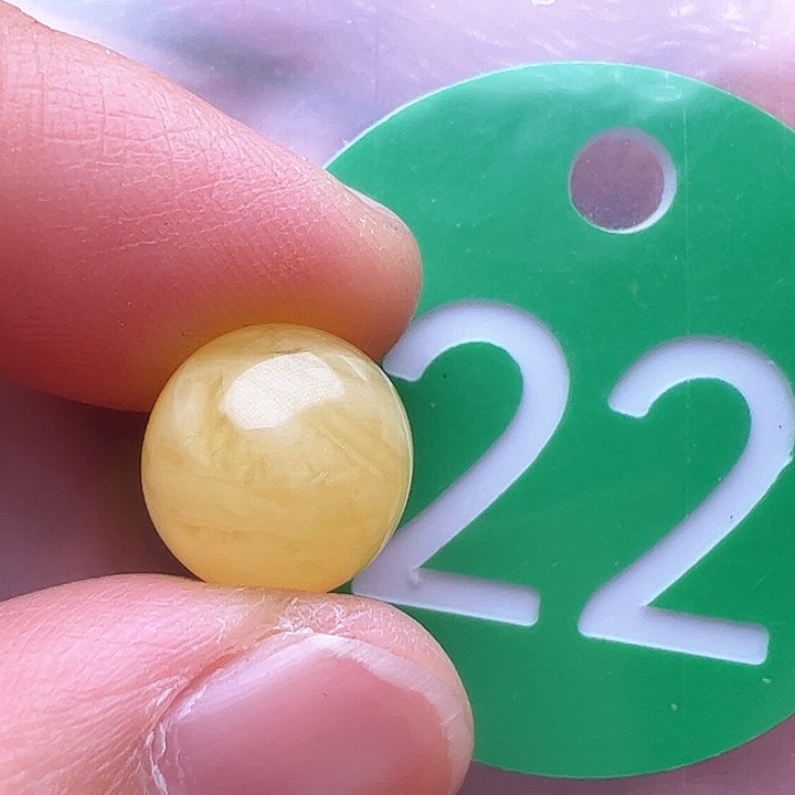 蜜蜡裸石未镶嵌11m m