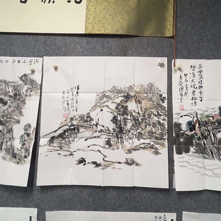 D***d书法齐卫国国画作品软片