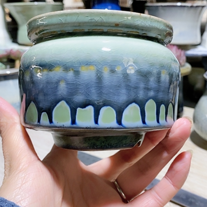 【闪购商品】红陶口9.5