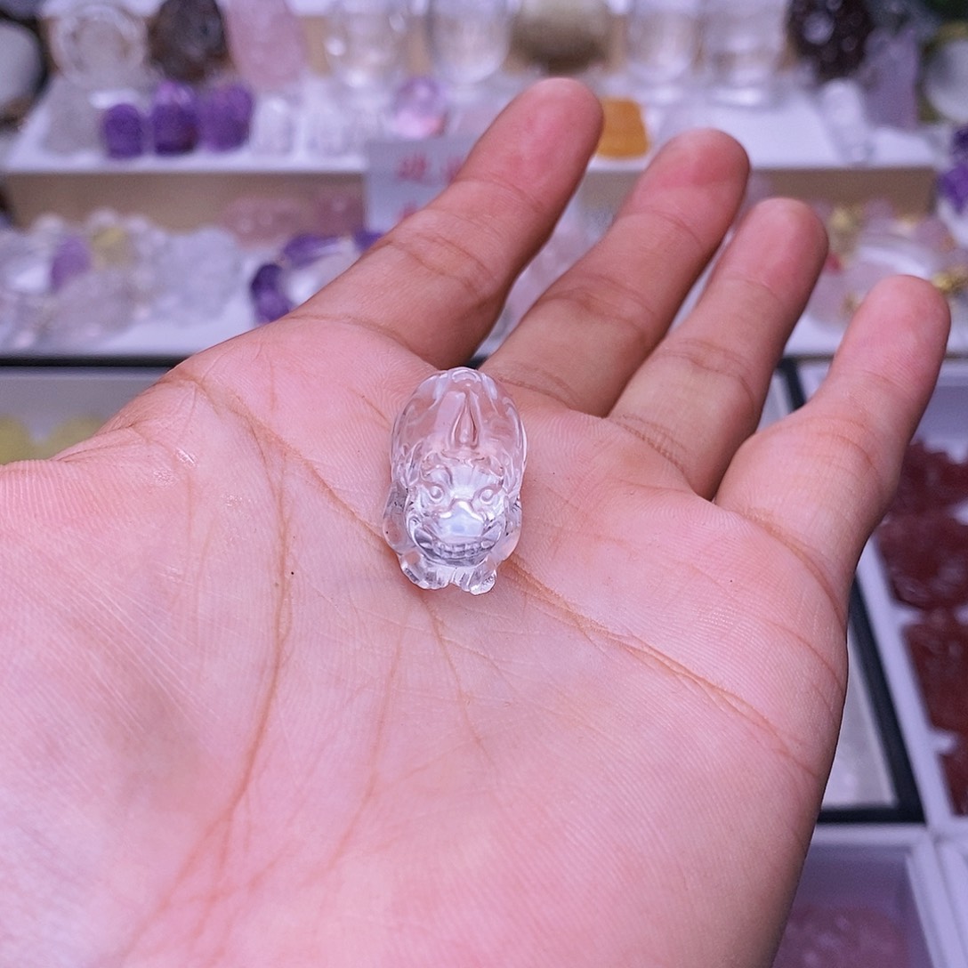 水晶颈饰未镶嵌白水晶貔貅