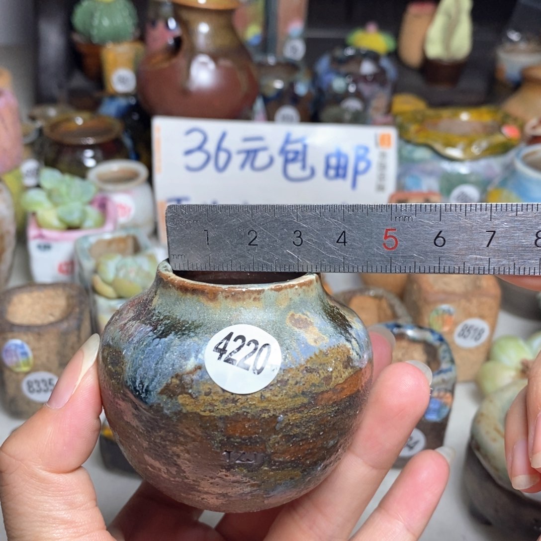 拍5送一个小礼物