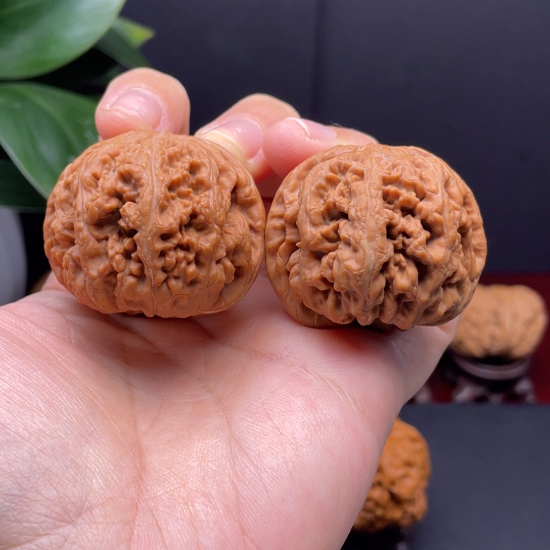 文玩核桃吊坠41+全品大粗筋