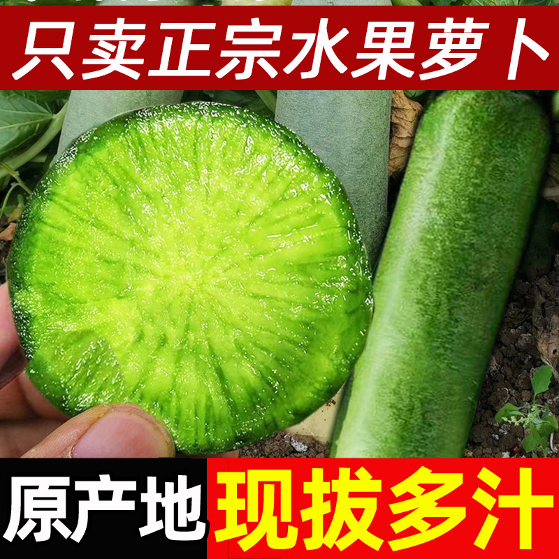 水果萝卜新鲜甜脆水果型5斤青冰淇淋凤梨生吃正宗青绿胡萝卜