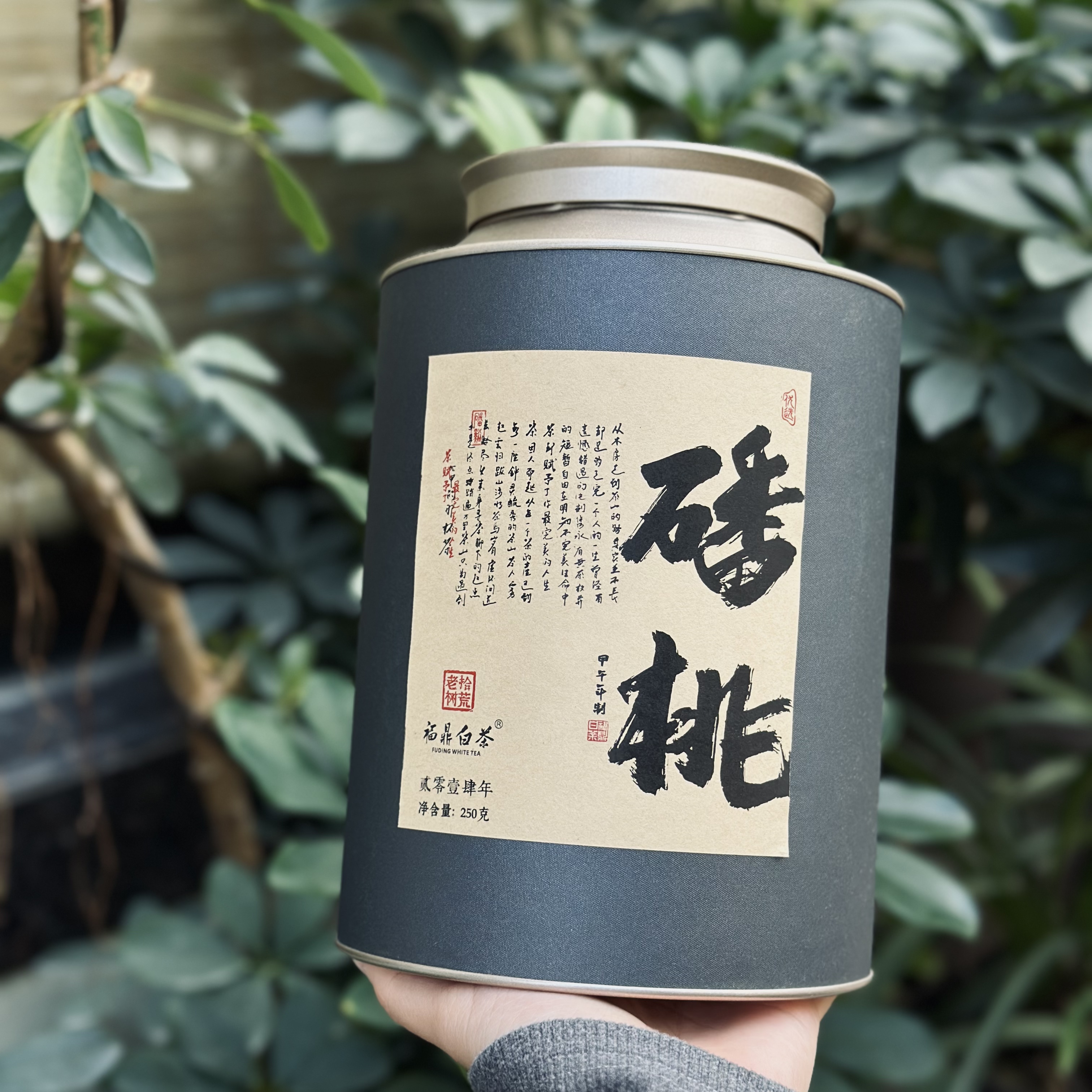 【老翁私藏】磻桃白2014年寿眉200g磻溪湖林