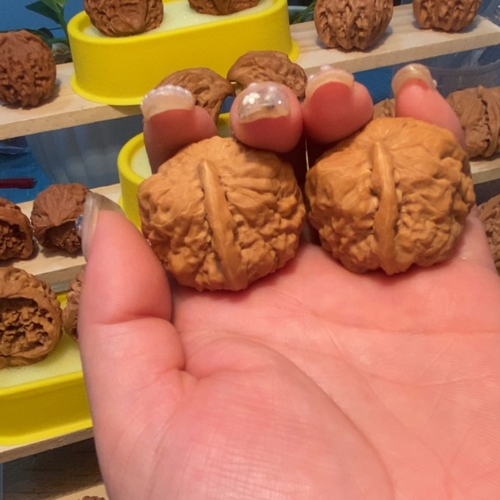 官方网站发布消息