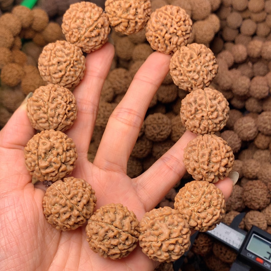 木7瓣金刚卡25尺寸，59号