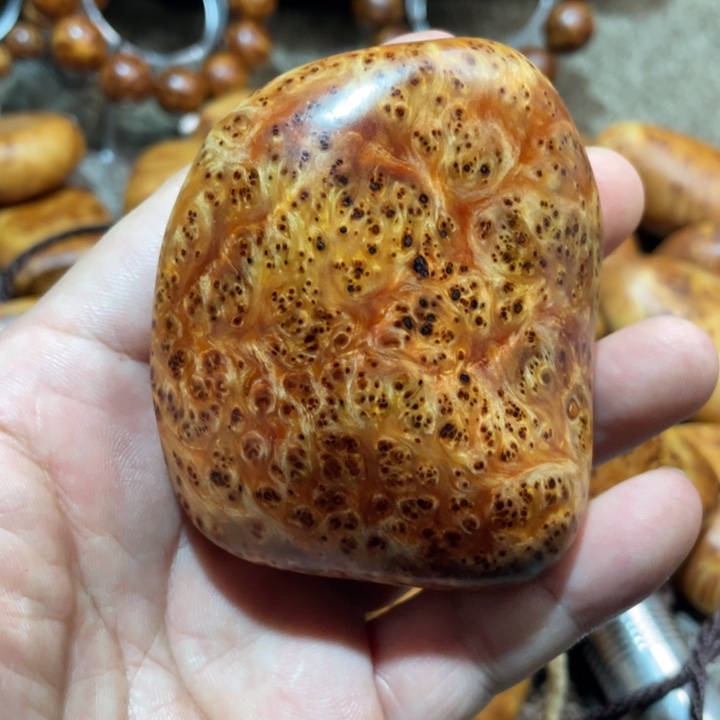 其他柏木（崖柏）把