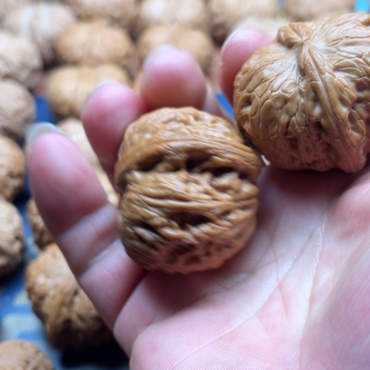 把件桃核火**噜核桃43